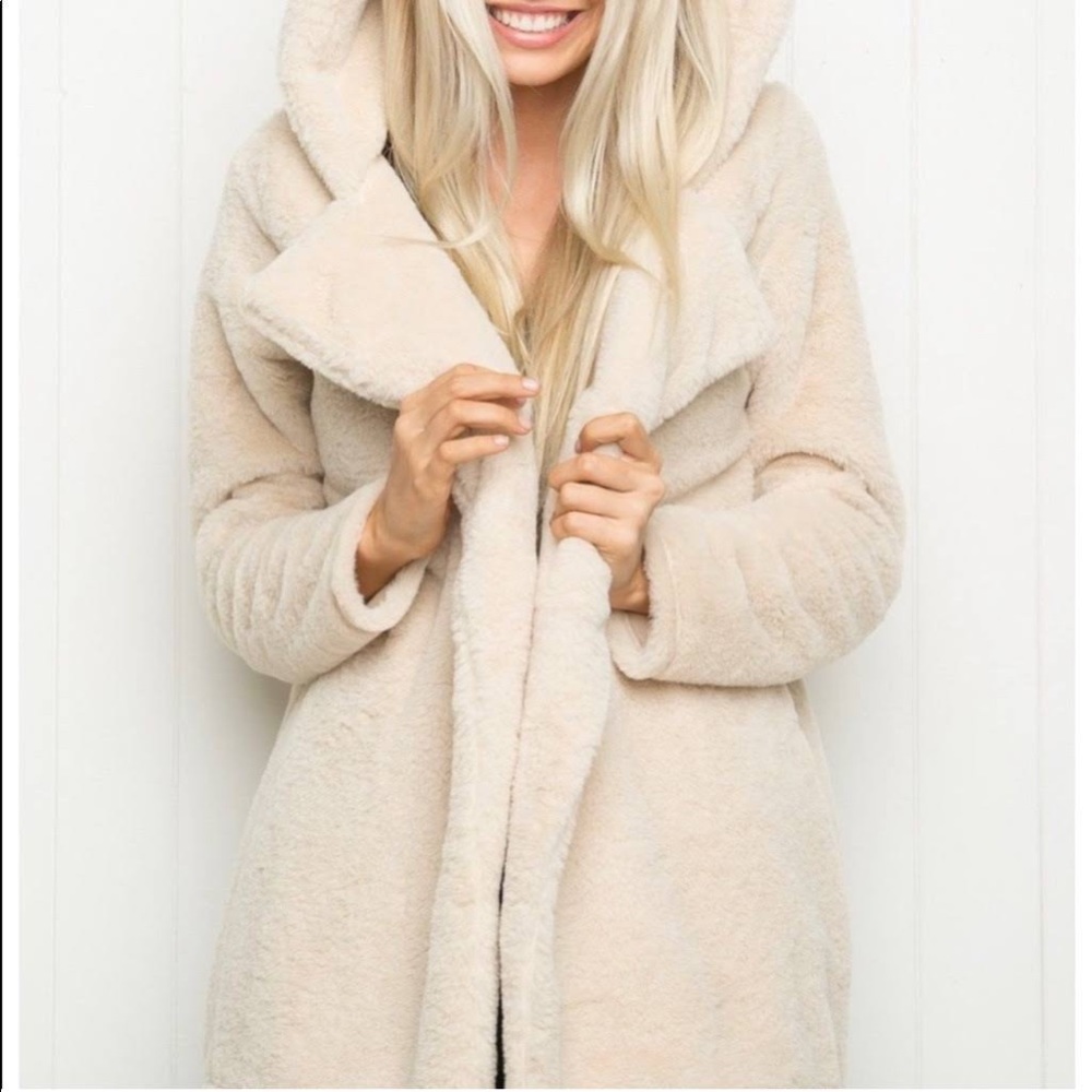 Brandy Melville Sandra Faux Fur Hooded Teddy Coat